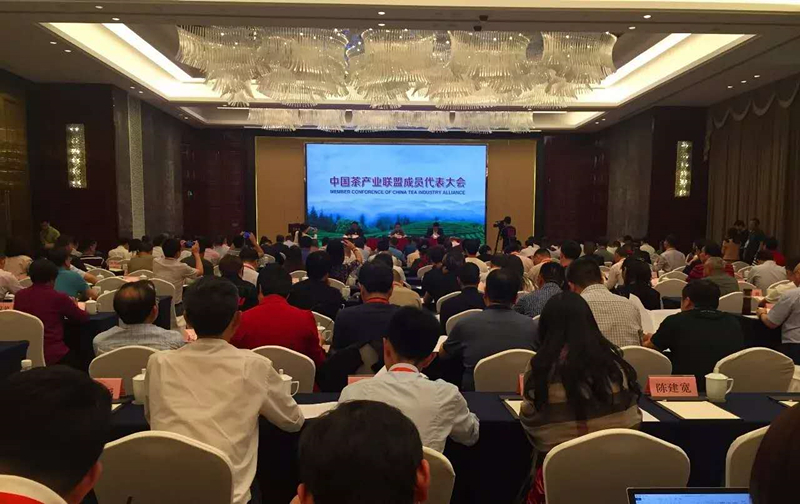 首届中国国际茶叶博览会系列报道之二         开云体云APP官网入口入选中国茶产业联盟副理事长单位