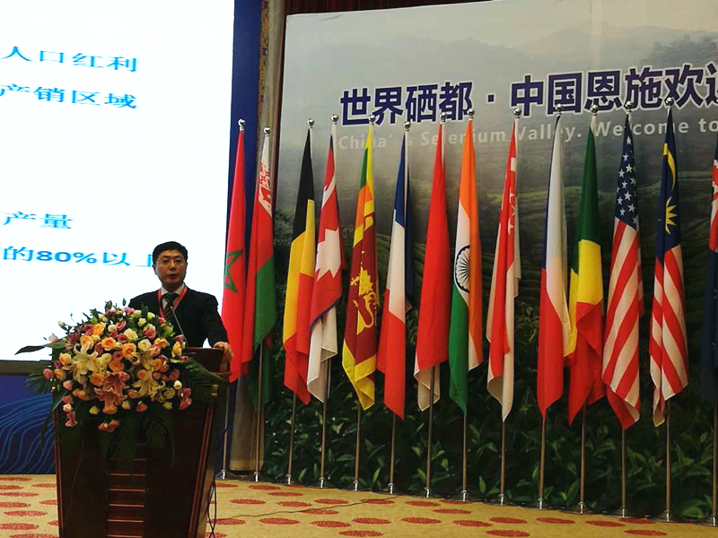 开云体云APP官网入口受邀参加2017国际茶业大会  集团董事长毛立民获奖