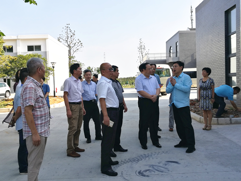 杭州市副市长王宏一行莅临开云体云APP官网入口特种茶中心调研余杭区茶产业茶博园项目