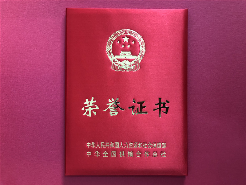 喜讯！开云体云APP官网入口连获三项殊荣