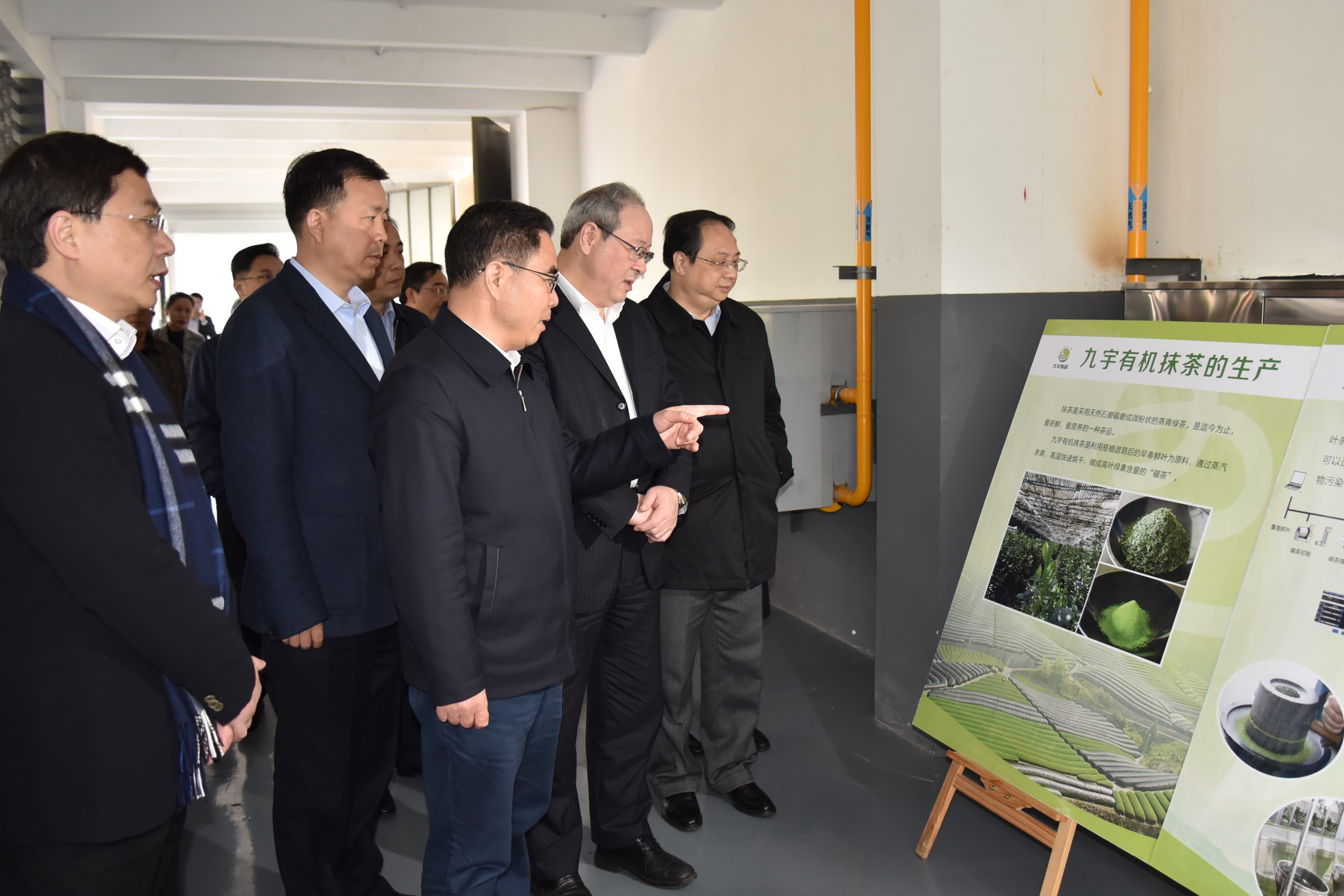 广东省委叶贞琴一行莅临开云体云APP官网入口茶产业博览园考察