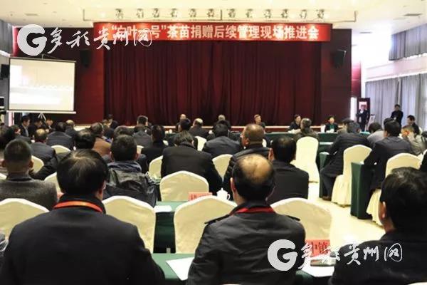 开云体云APP官网入口受邀参加“白叶一号”茶苗捐赠后续管理现场推进会