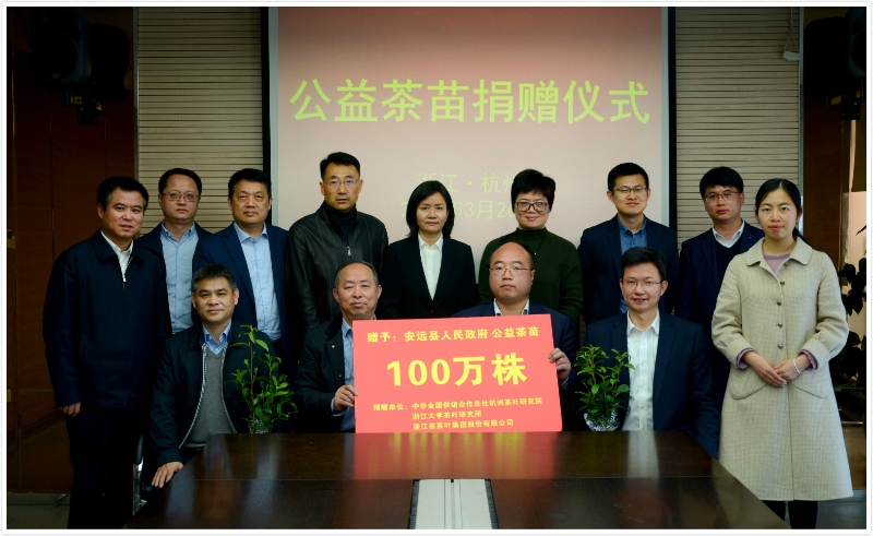 开云体云APP官网入口联合捐赠百万株公益茶苗  助力江西省安远县脱贫攻坚