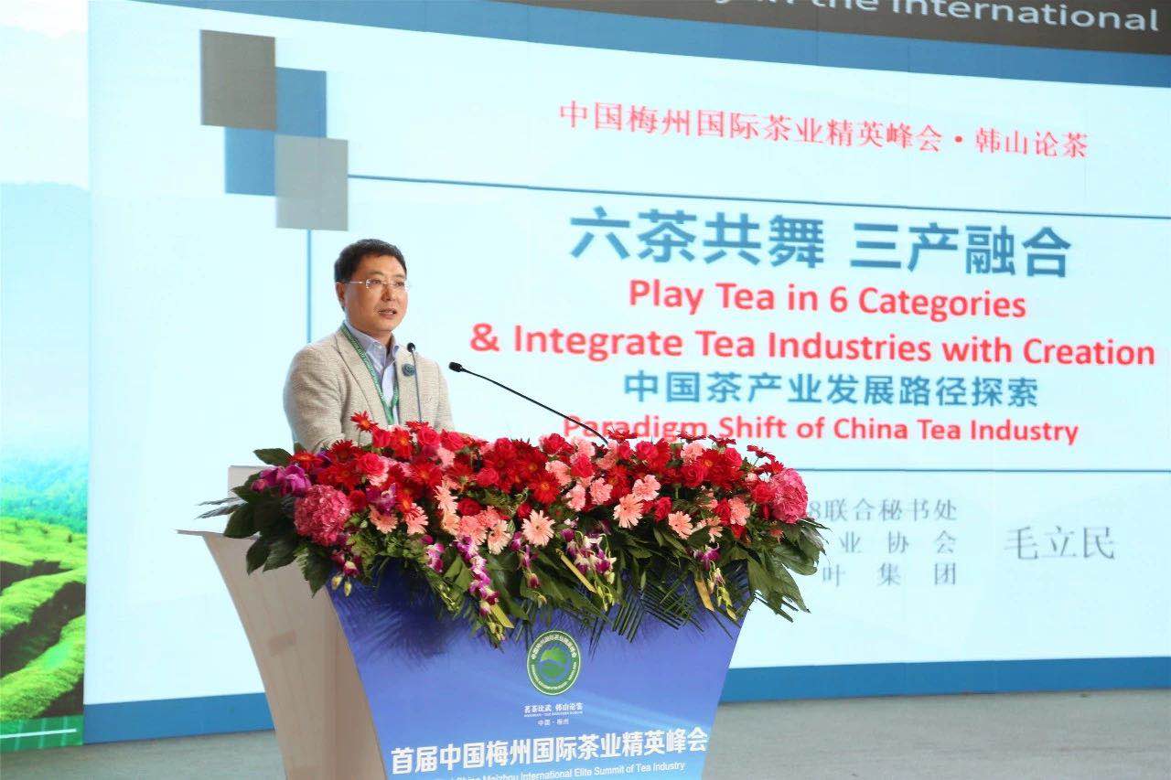首届中国梅州国际茶业精英峰会举行 开云体云APP官网入口代表分享前沿观点
