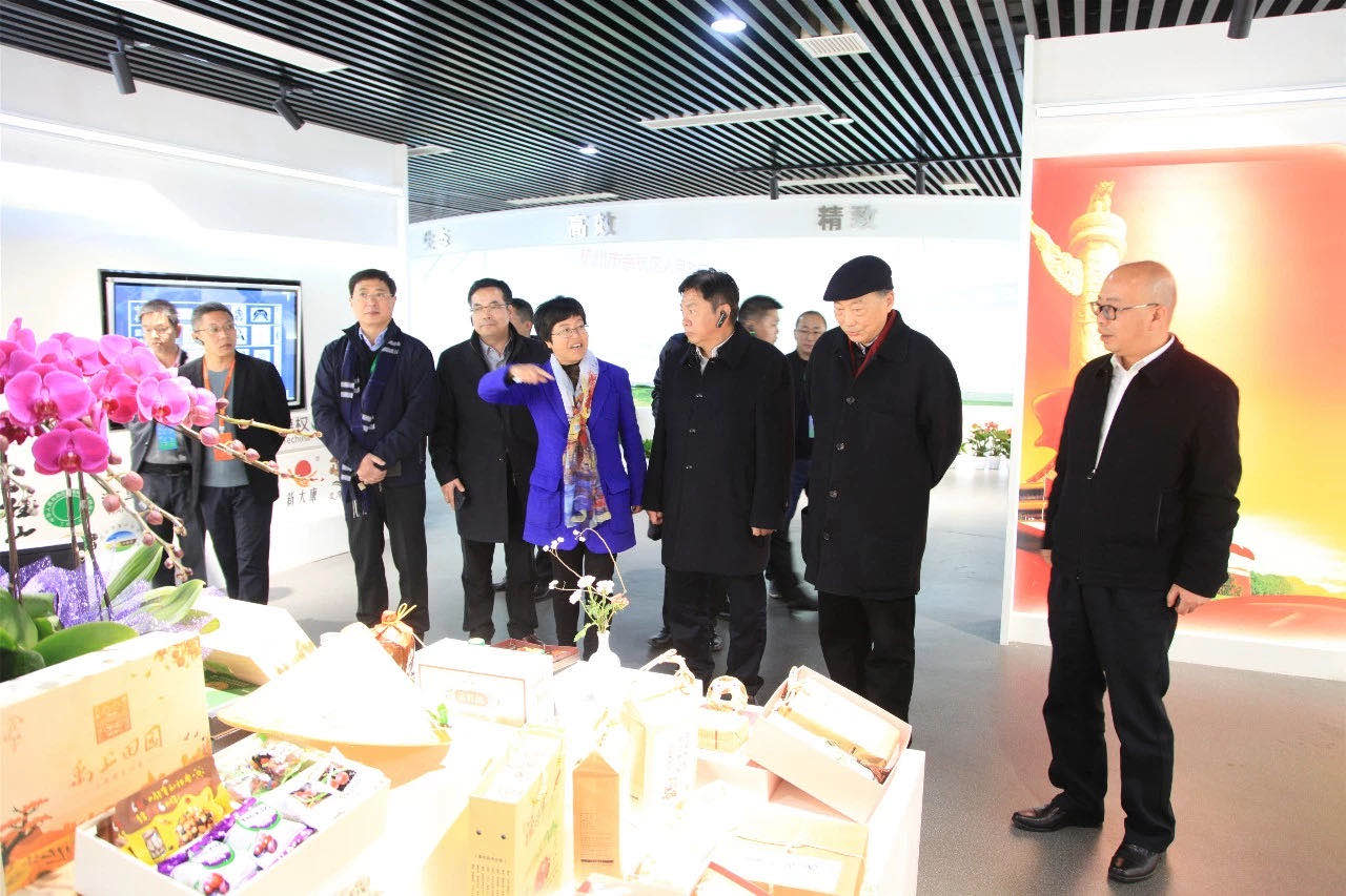 2019中国乡村振兴暨首届“一带一路”农业农村发展论坛嘉宾参观开云体云APP官网入口九宇有机茶博园