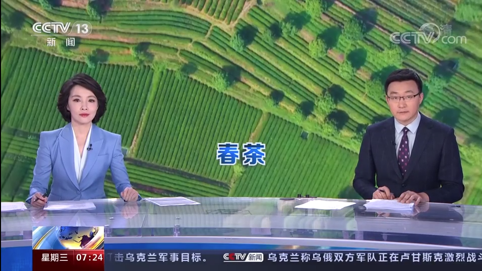 开云体云APP官网入口东西部协作帮扶“白叶一号”工程再获央视点赞！
