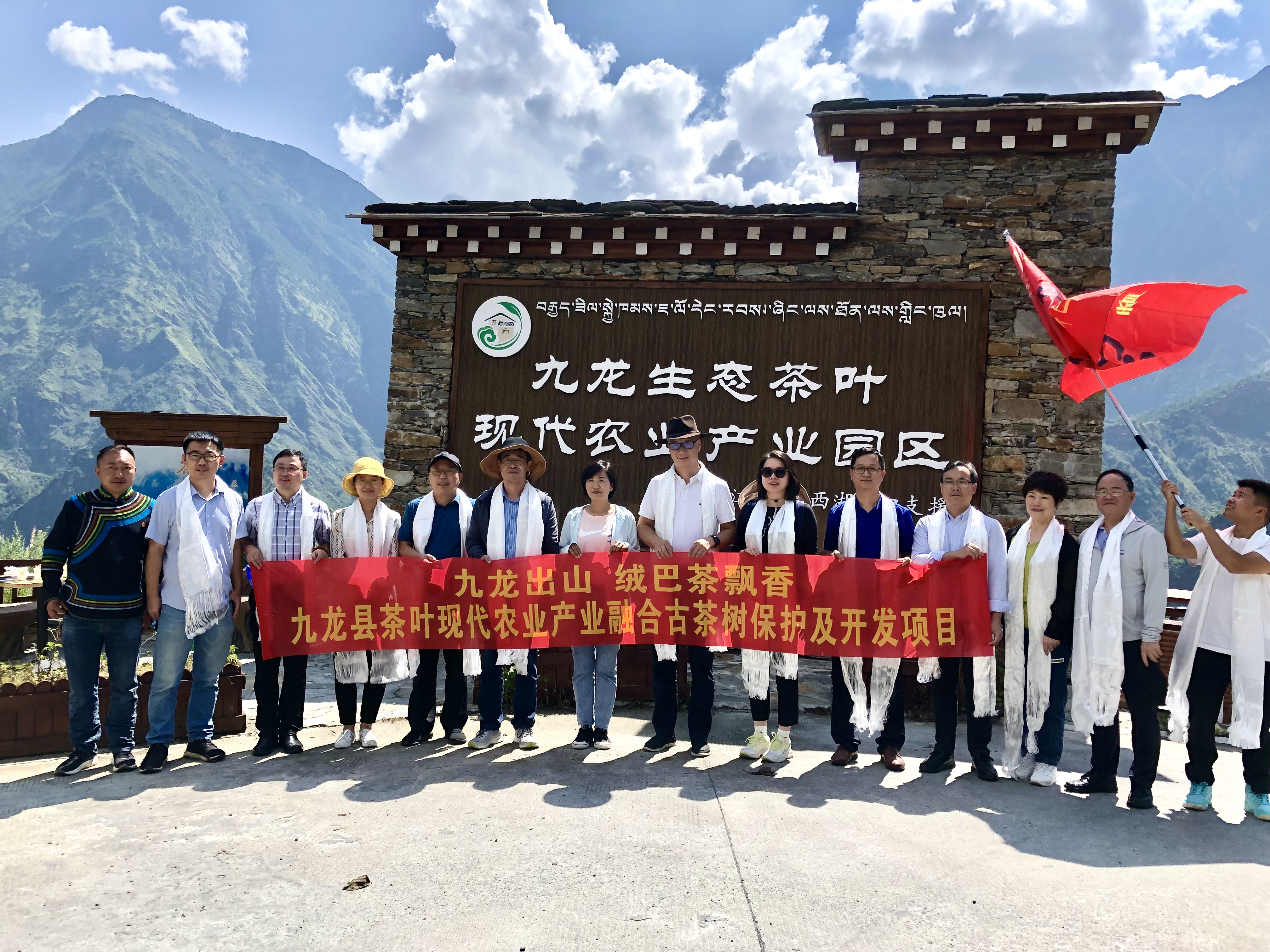 九龙出山·绒巴茶飘香——开云体云APP官网入口牵头实施九龙县茶叶现代农业产业融合示范项目古茶树保护及开发项目
